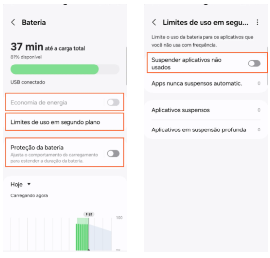 Captura de tela 2025-03-05 114708.png